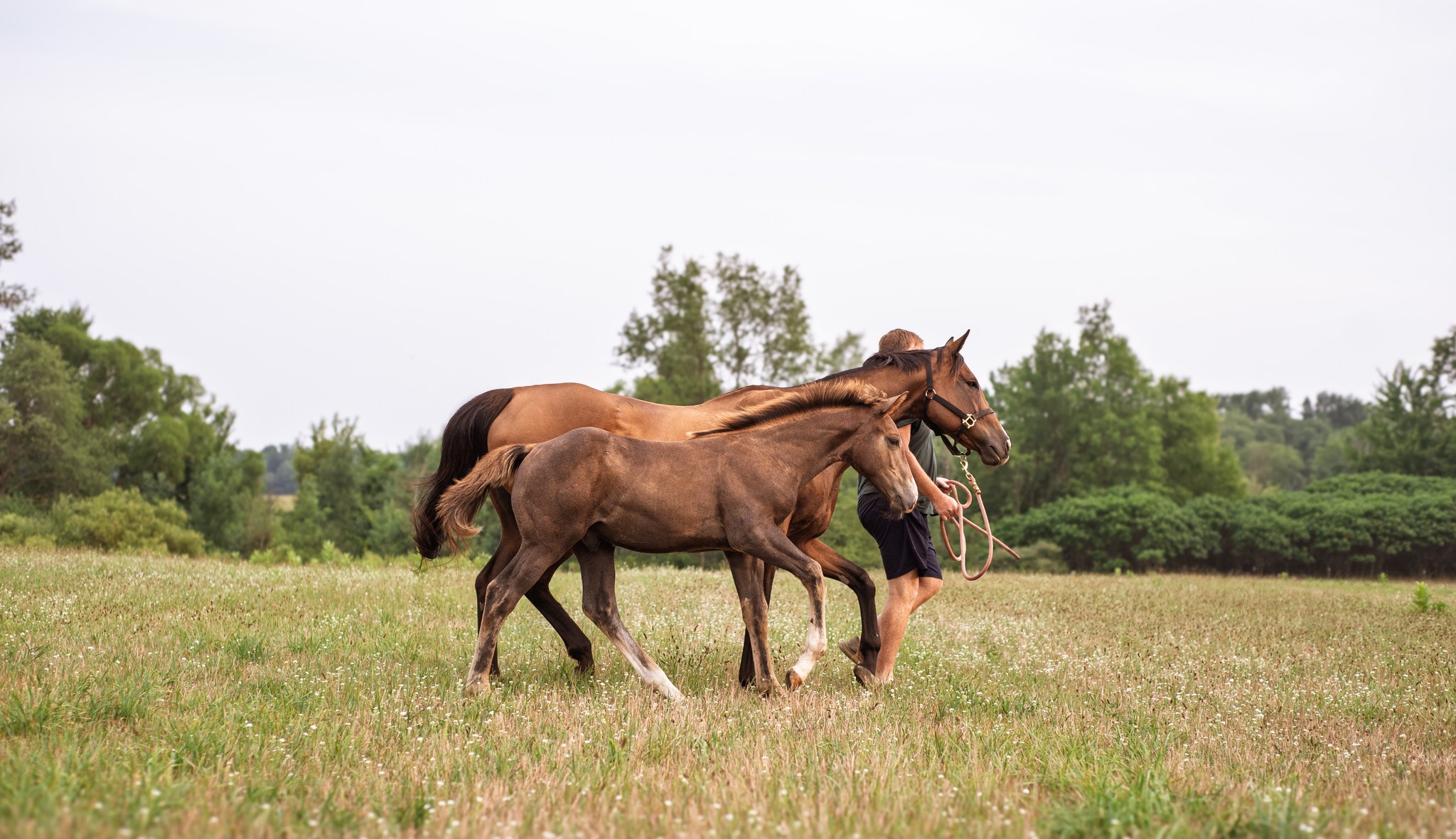 528086128_10100163311028225_7807776709800080642_n