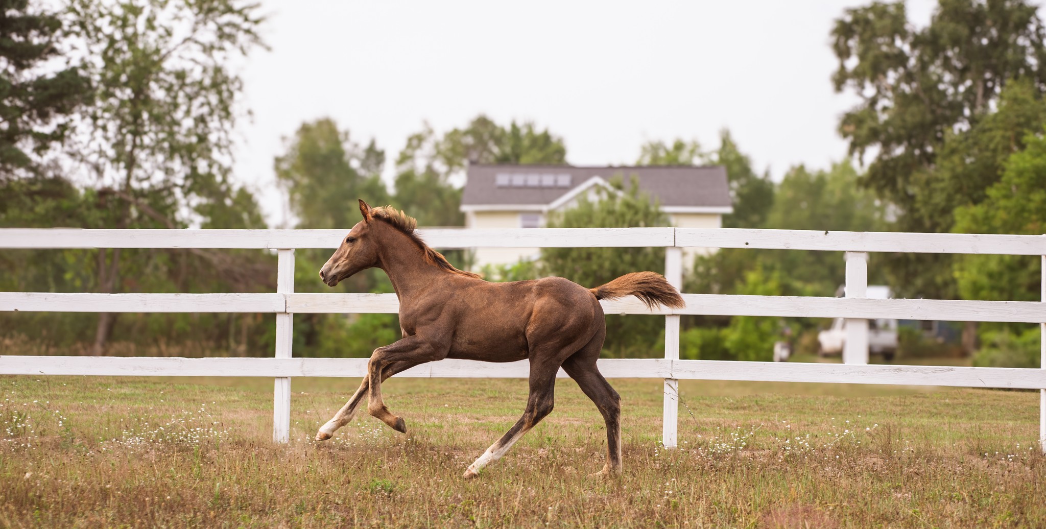 528318588_10100163308847595_1533701697088332285_n