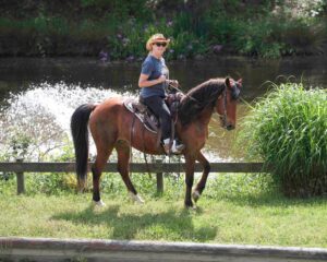 FB_IMG_1748745641920-1