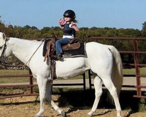 Hickorita1-748x390x119x0x628x390x1753981597