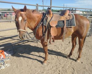 IMG_20250710_085153344