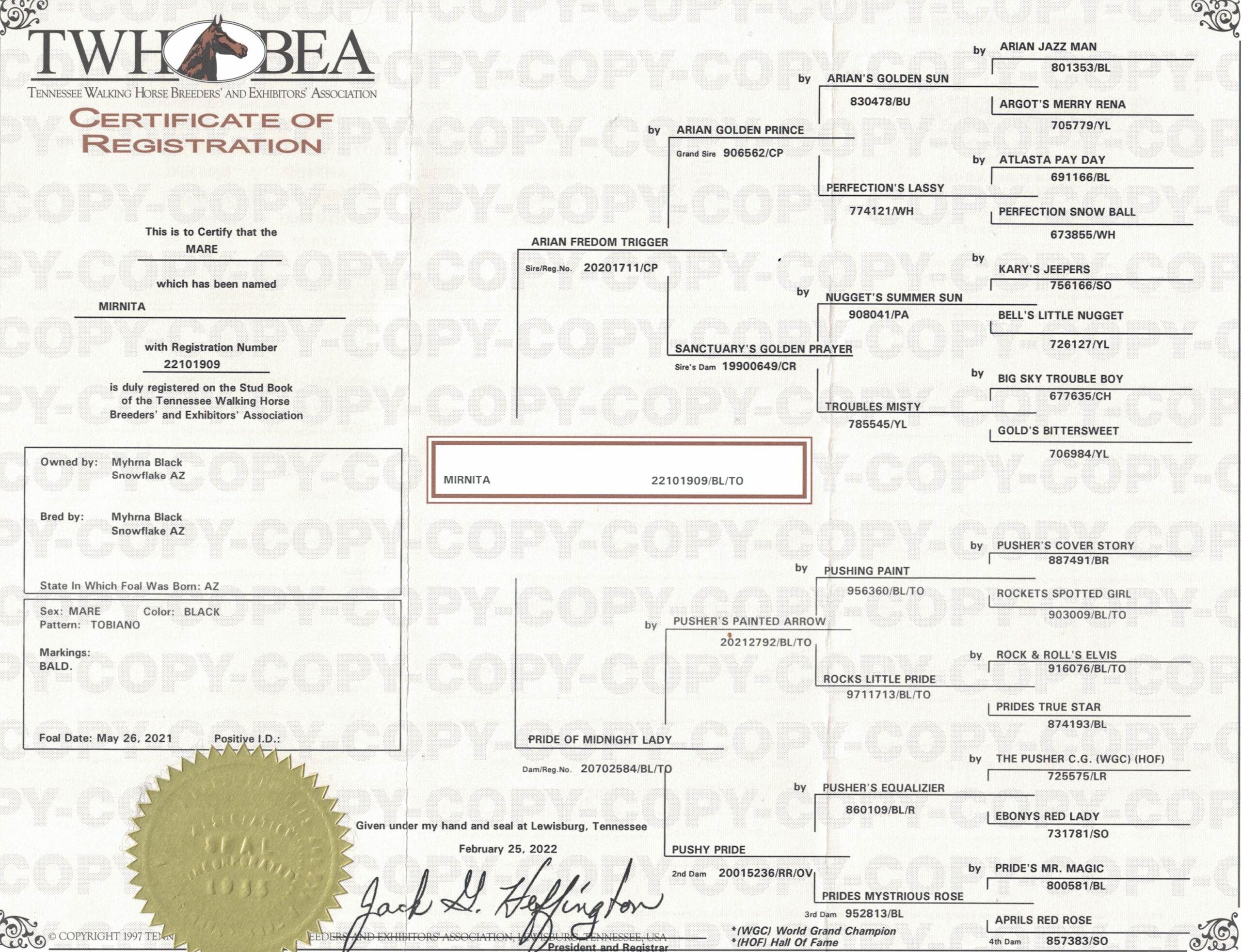 Mirnita-Registration-05-26-2021