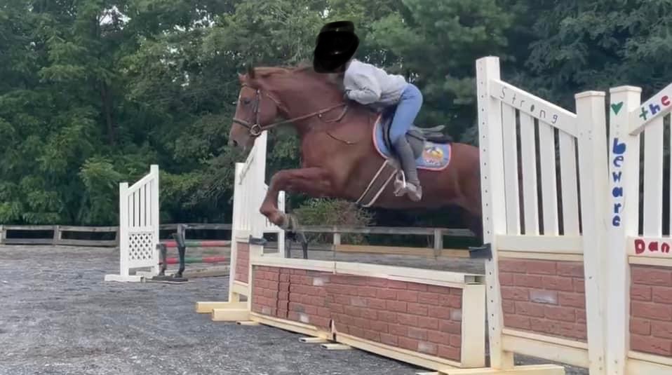 uuid5BF6AFEB-AF5C-4166-821D-A47EA3C2304Bcode001library1type1mode1loctruecaptrue