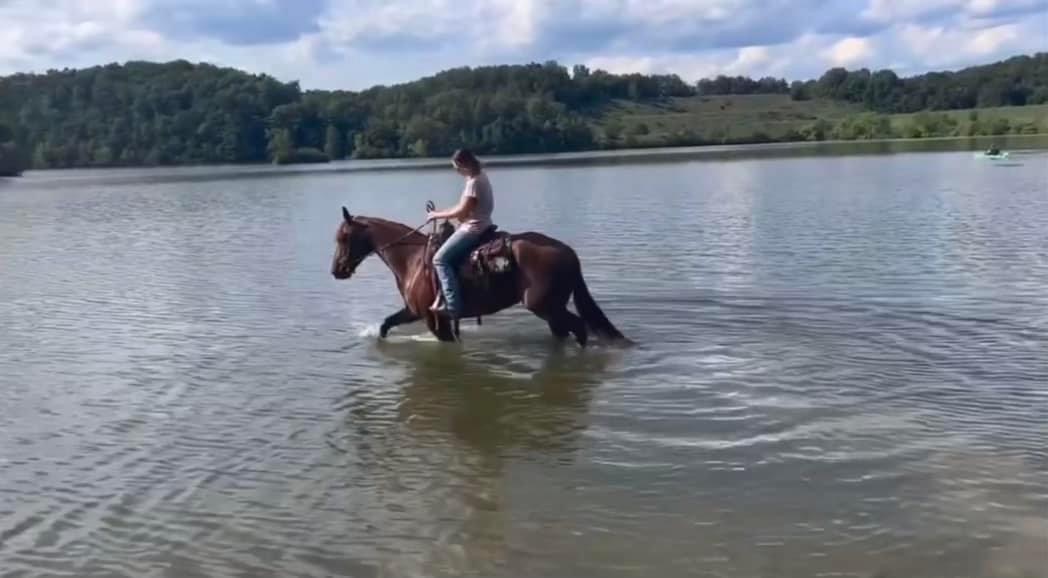 uuid8A869389-E117-44E9-8798-58A7E97C34B5code001library1type1mode1loctruecaptrue