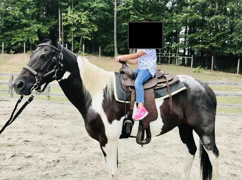 107426246_10217238578544295_3299897453738832509_n-2