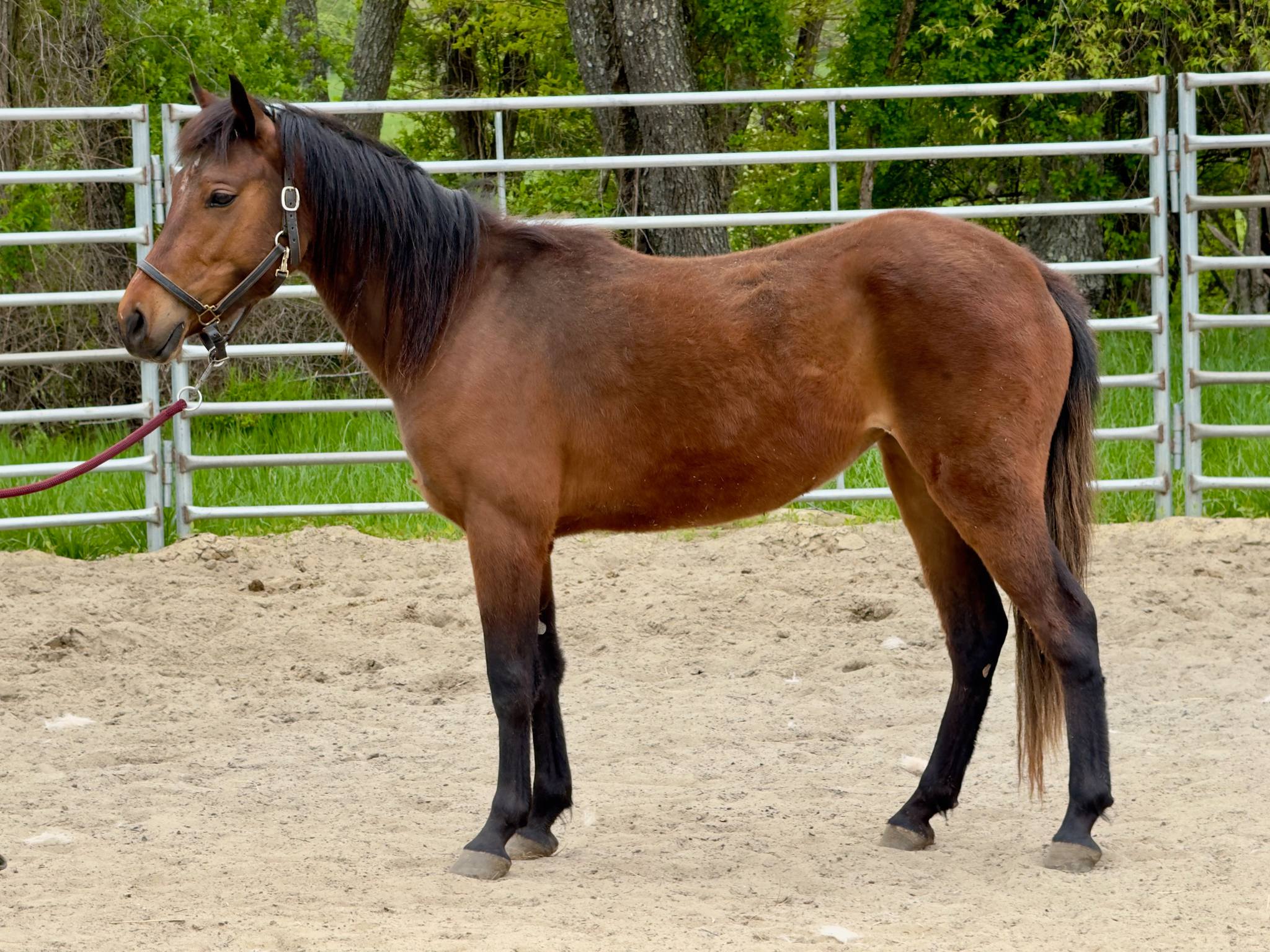 484330962_988353366733255_3356944325269734082_n