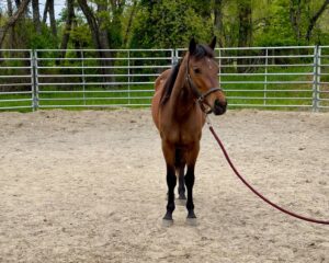 484823091_988353376733254_8911601755526746938_n