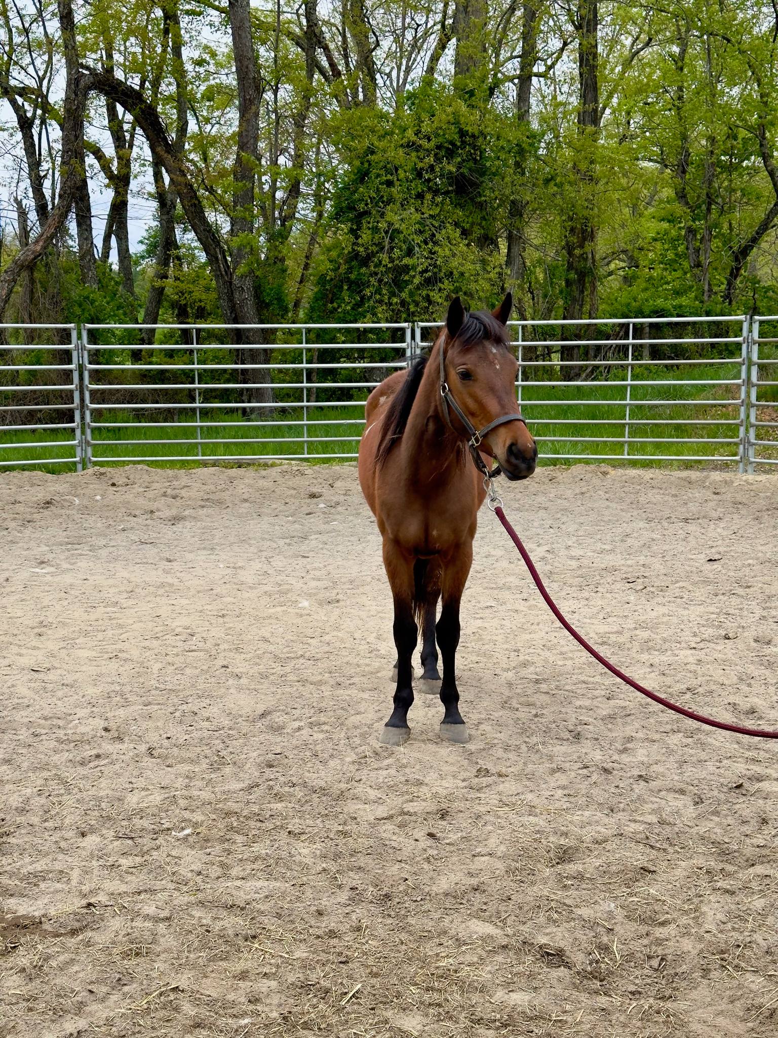 484823091_988353376733254_8911601755526746938_n