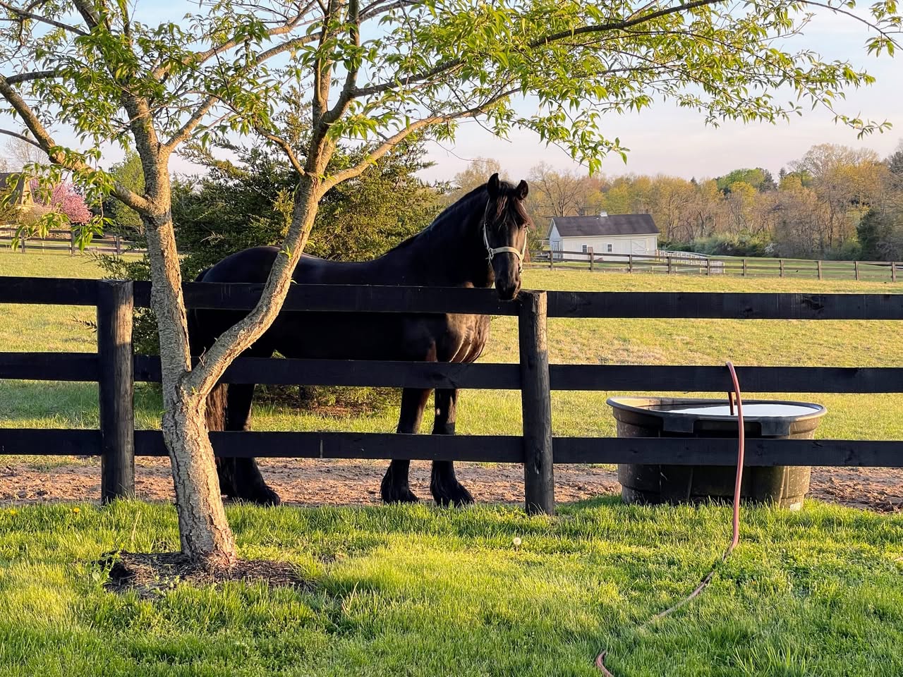 512170632_10238986901036807_5956318713624141488_n