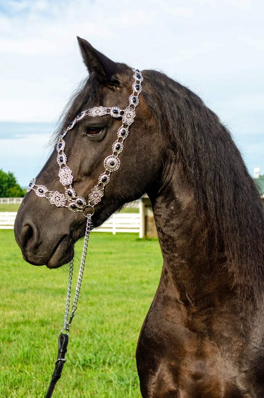 512499143_10238986899556770_8850112243671831266_n