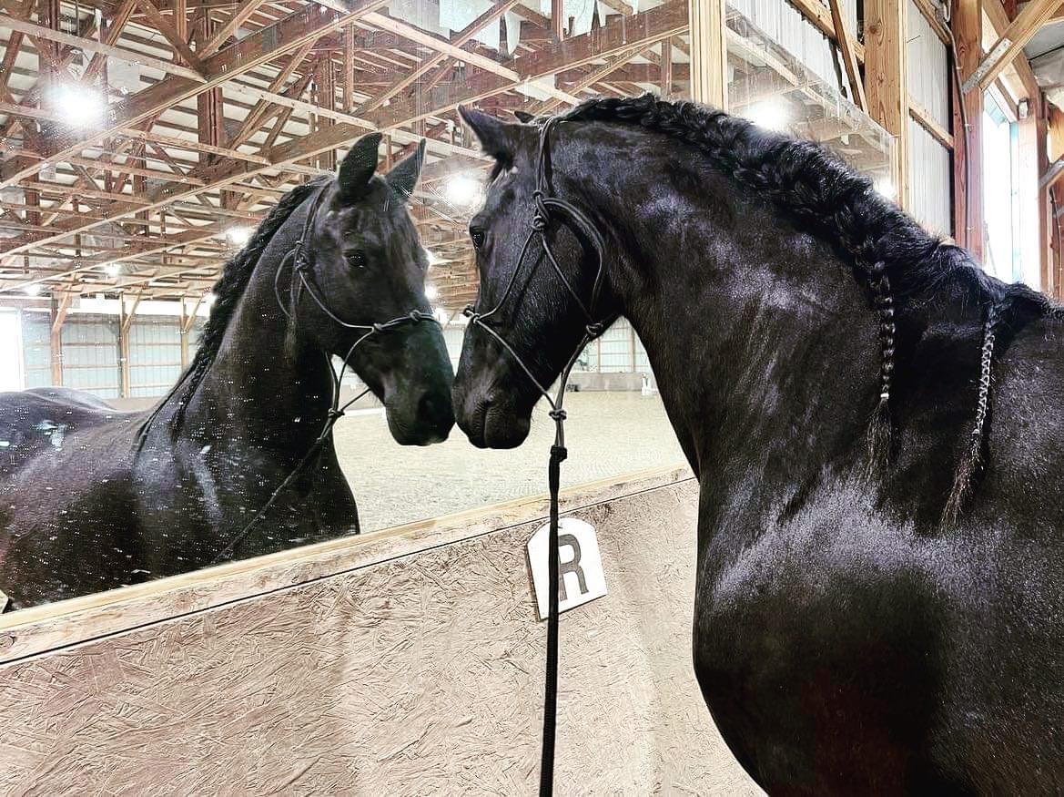 512704858_10238986900036782_6316287768770917512_n