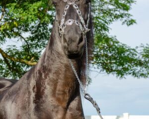 513407773_10238986900356790_5130862101439138416_n