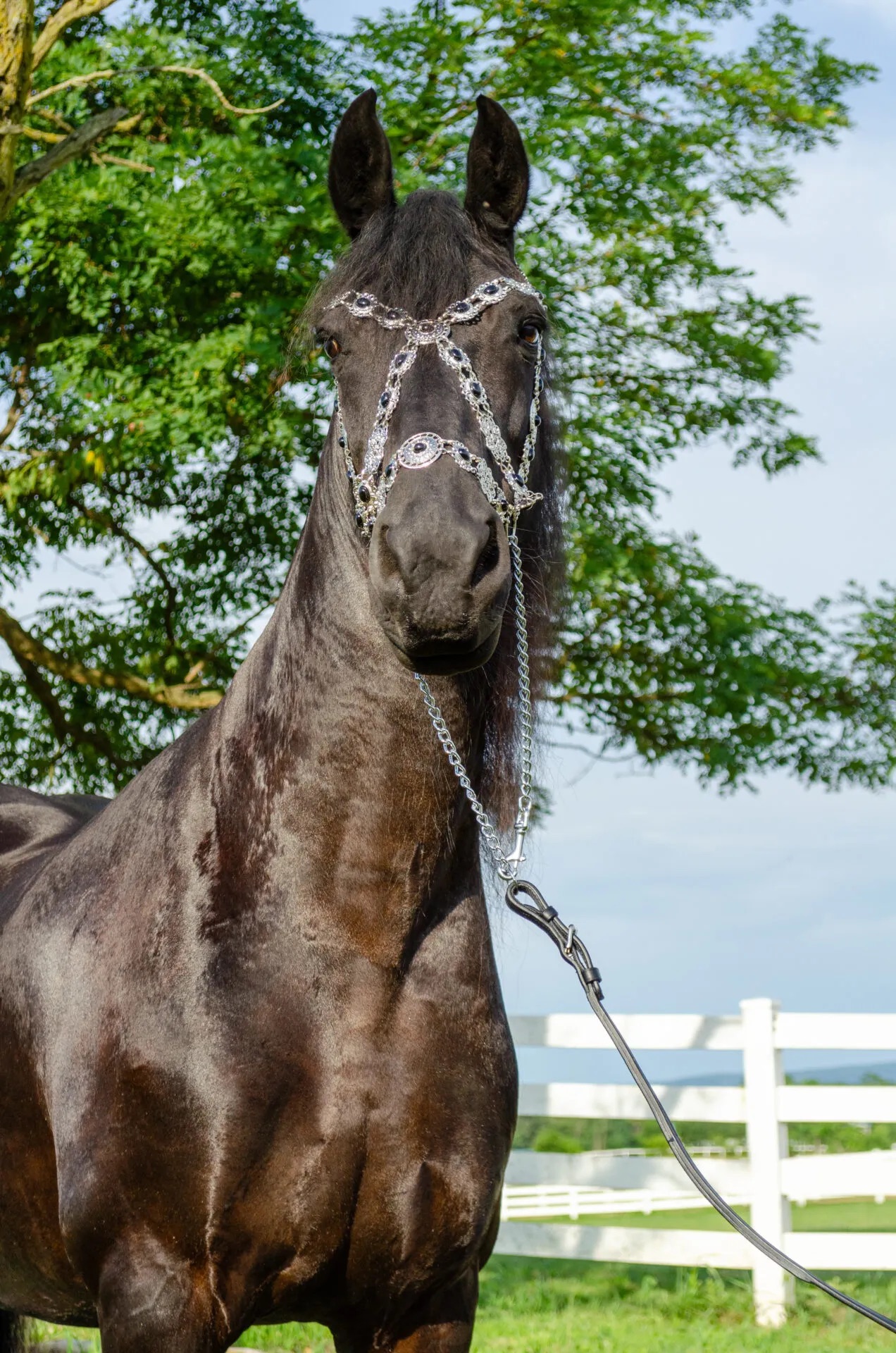 513407773_10238986900356790_5130862101439138416_n