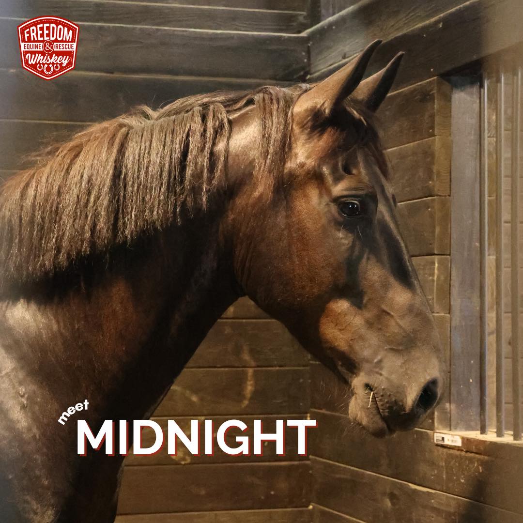 515441639_1088312430070681_35644381105538605_n-1