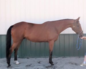 544802260_27921009240852420_2037557644826749869_n