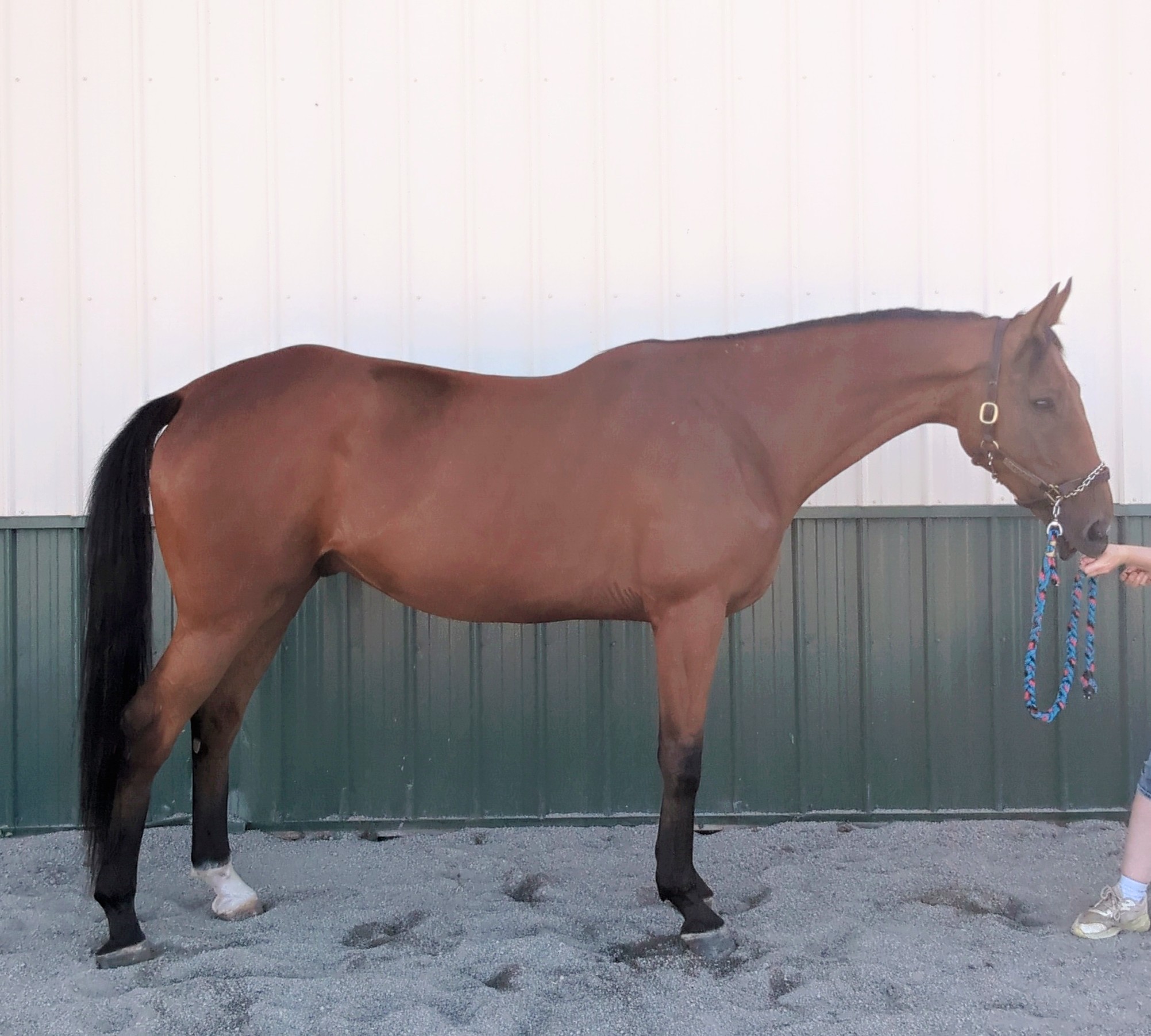 544802260_27921009240852420_2037557644826749869_n