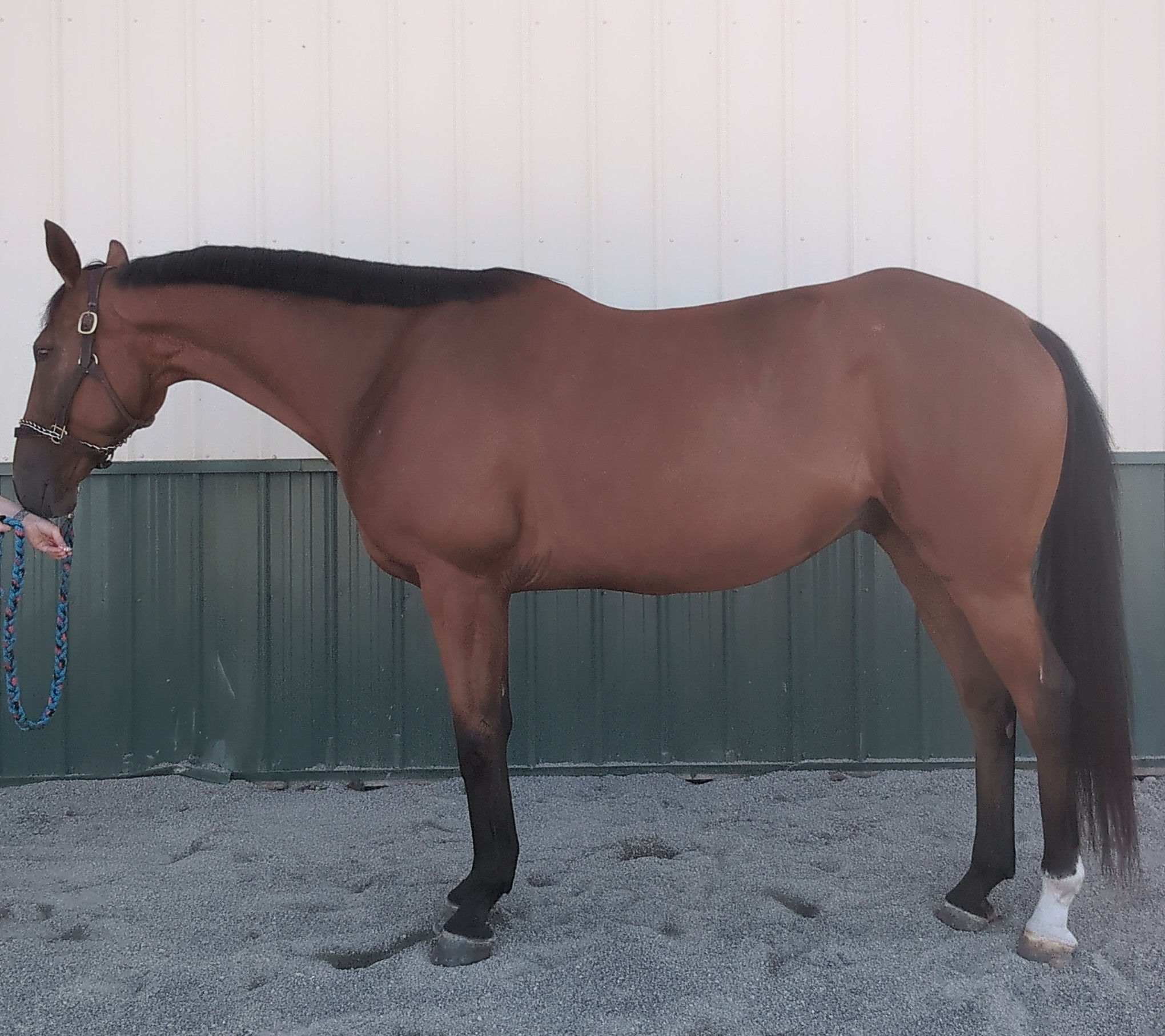 546101984_27921009060852438_386314617334040893_n