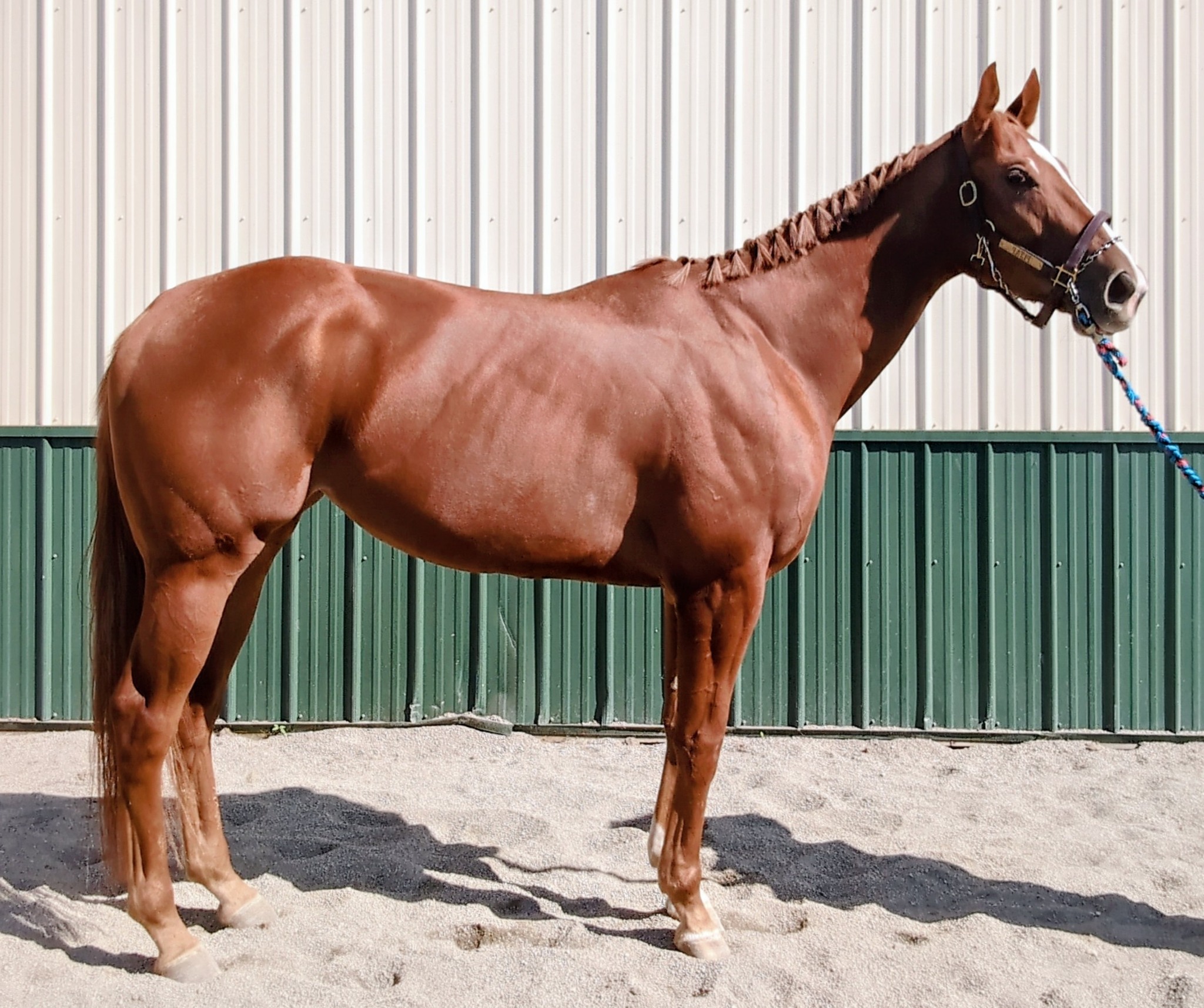 546419884_27960150450271632_4012391361302817369_n