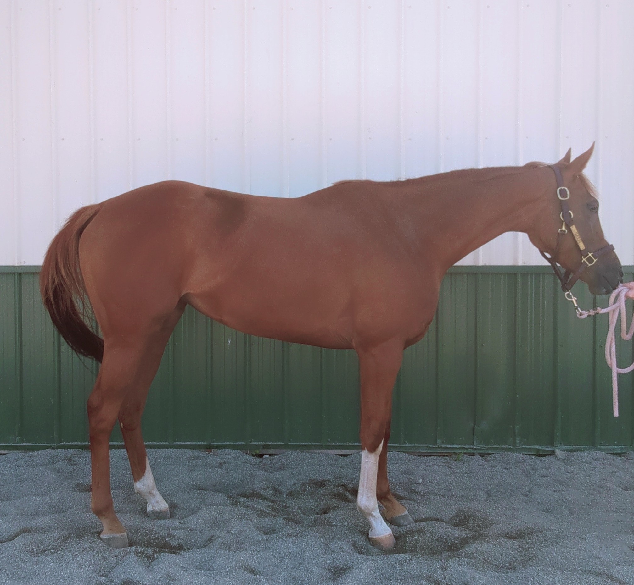 547541607_27968189349467742_3226519378957406164_n