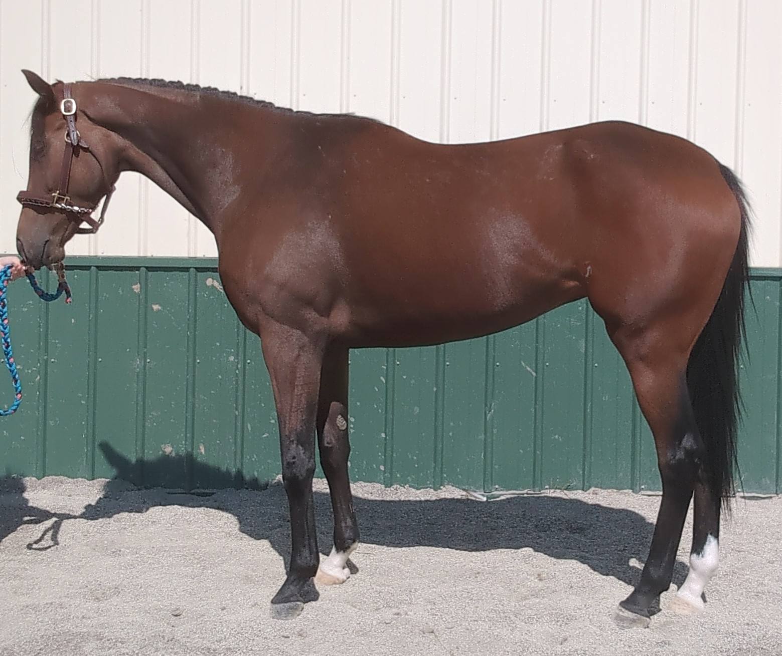 548375878_27967513612868649_5199981225146411598_n