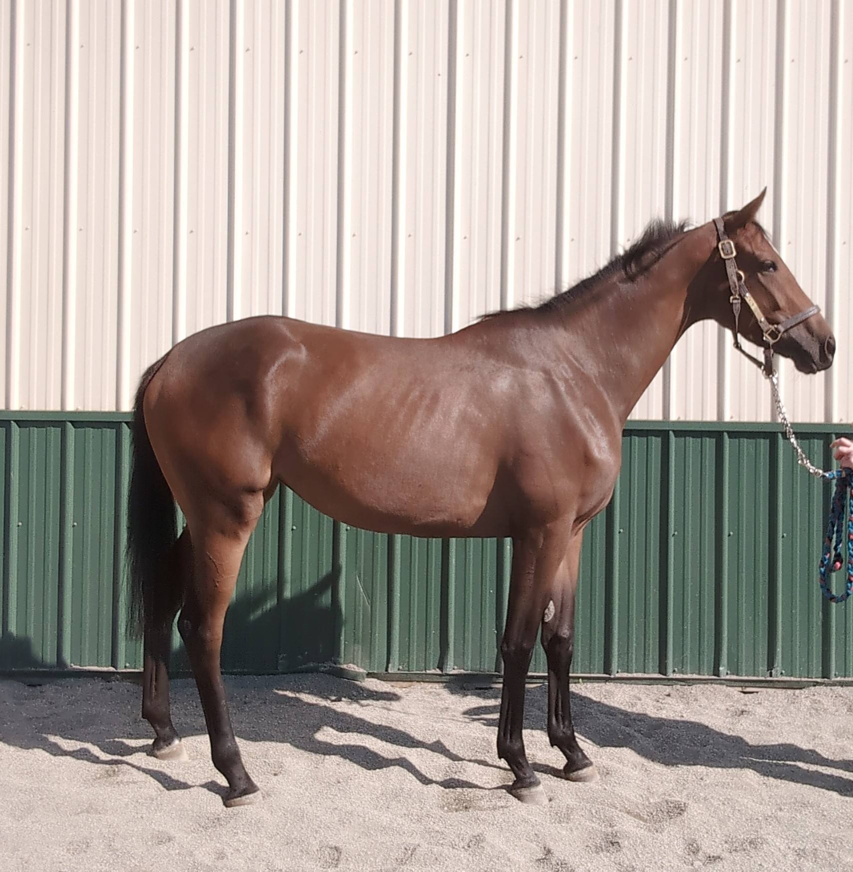 548485906_27966968179589859_3500807189315321023_n