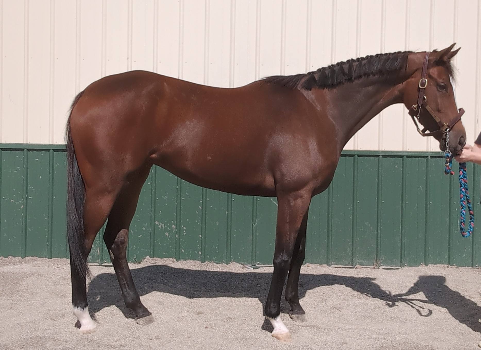 548625375_27967513882868622_3476069259448278494_n