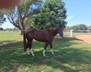 Tilly-09_2025