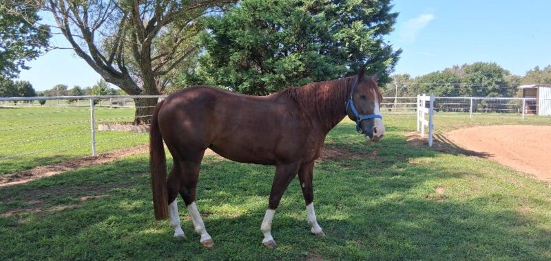 Tilly-09_2025