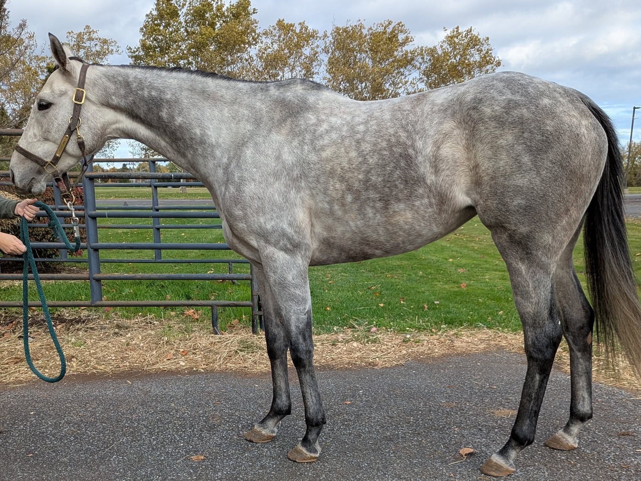 571113604_28307293945557279_1652326710115083855_n