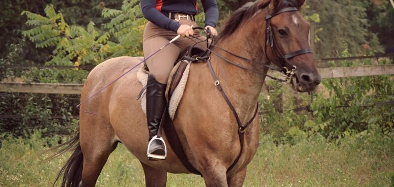 image000004