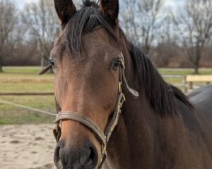 417ed0b7-ab24-4eb1-8d8c-fe27e88d341e