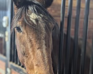 67c4bcc7-ac4b-43e0-918c-dcbdea7456dc