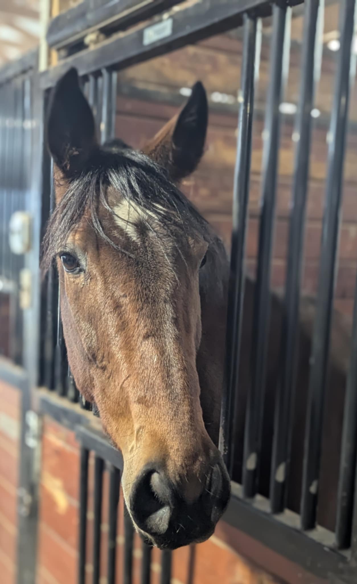 67c4bcc7-ac4b-43e0-918c-dcbdea7456dc