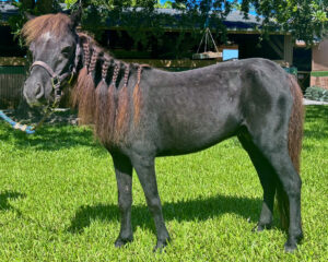 BITSY-MAIN-PROFILE-PHOTO