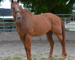 DSC_6148-Edited-Edited