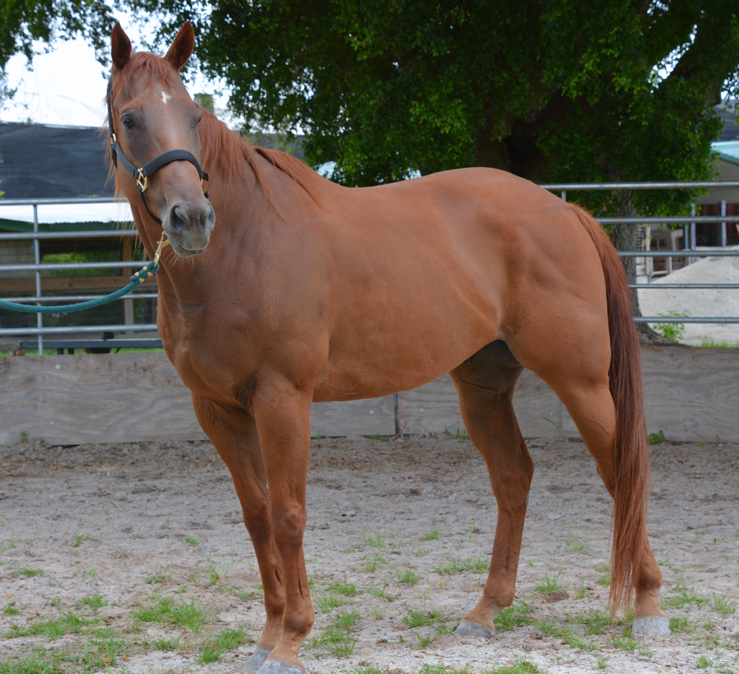 DSC_6148-Edited-Edited