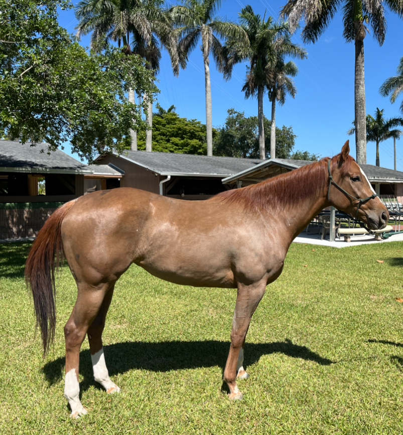 EMMASJEWEL_RIGHT_INTAKE-PHOTO