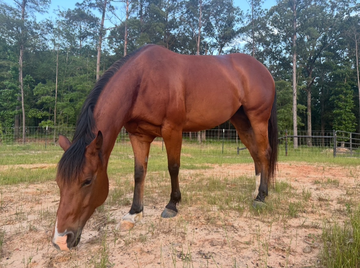 IMG_20251112_080946-1