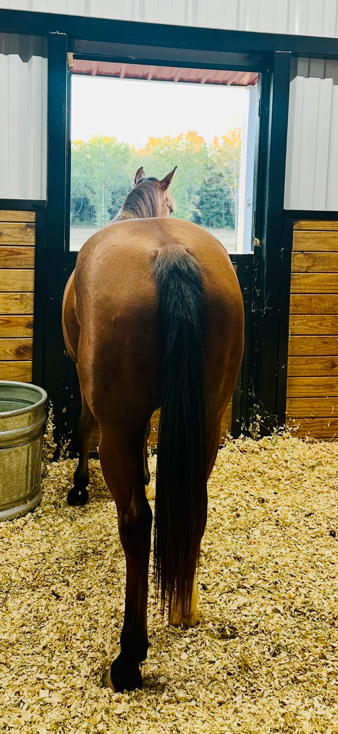 IMG_20251112_080946-2