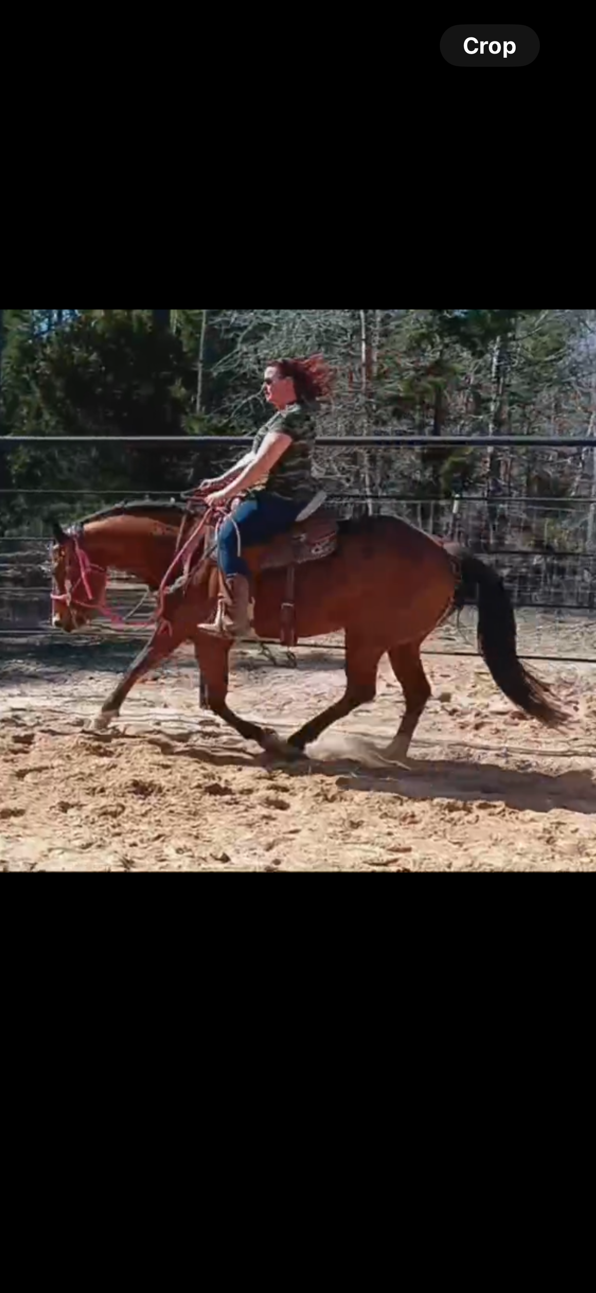 IMG_20251112_080946-3