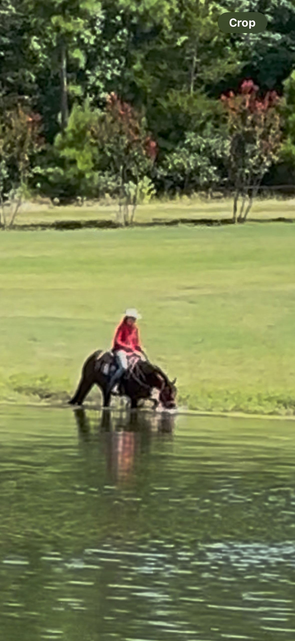 IMG_20251112_081230-2