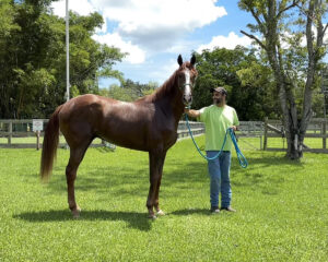 SANDRO-SECONDARY-PHOTO-2