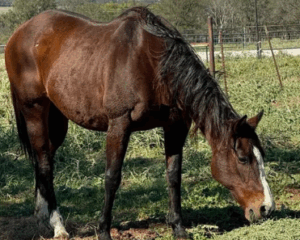 Screenshot-2025-11-14-132125