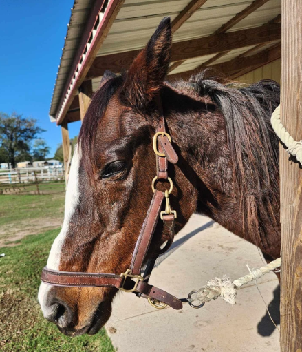 Screenshot-2025-11-14-132234