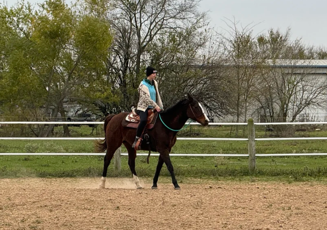 Screenshot-2025-11-14-132246