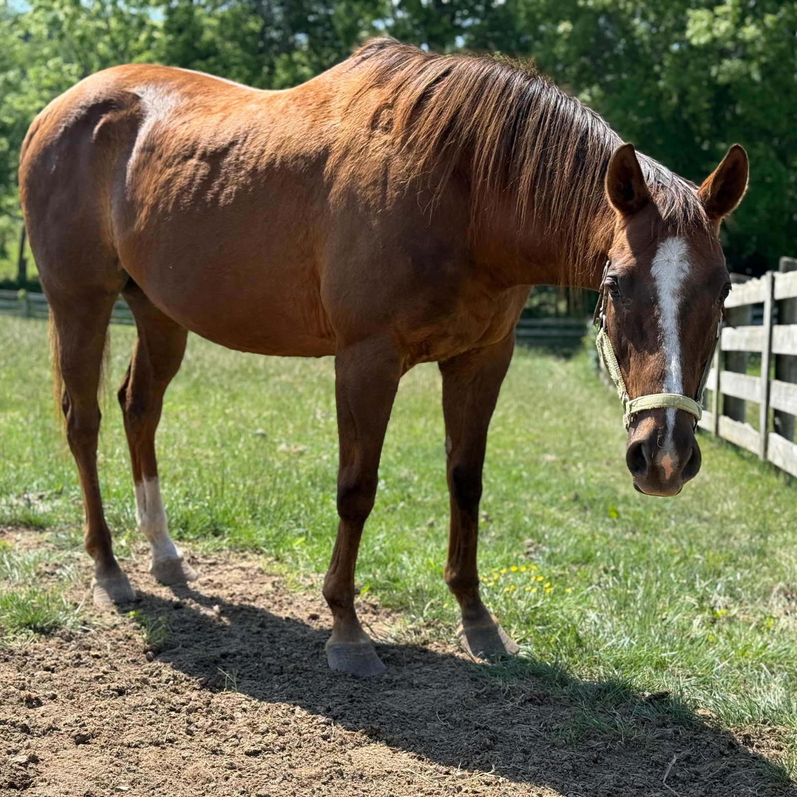 Untitled-design-2025-05-23T185003.868