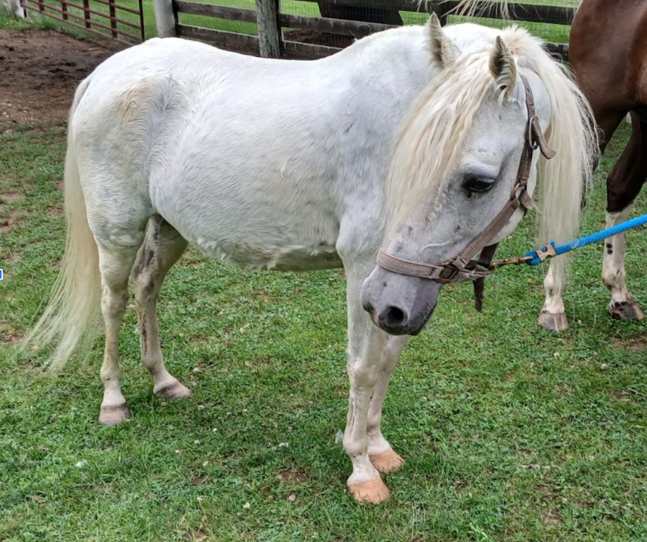 Untitled-design-2025-06-19T182947.108