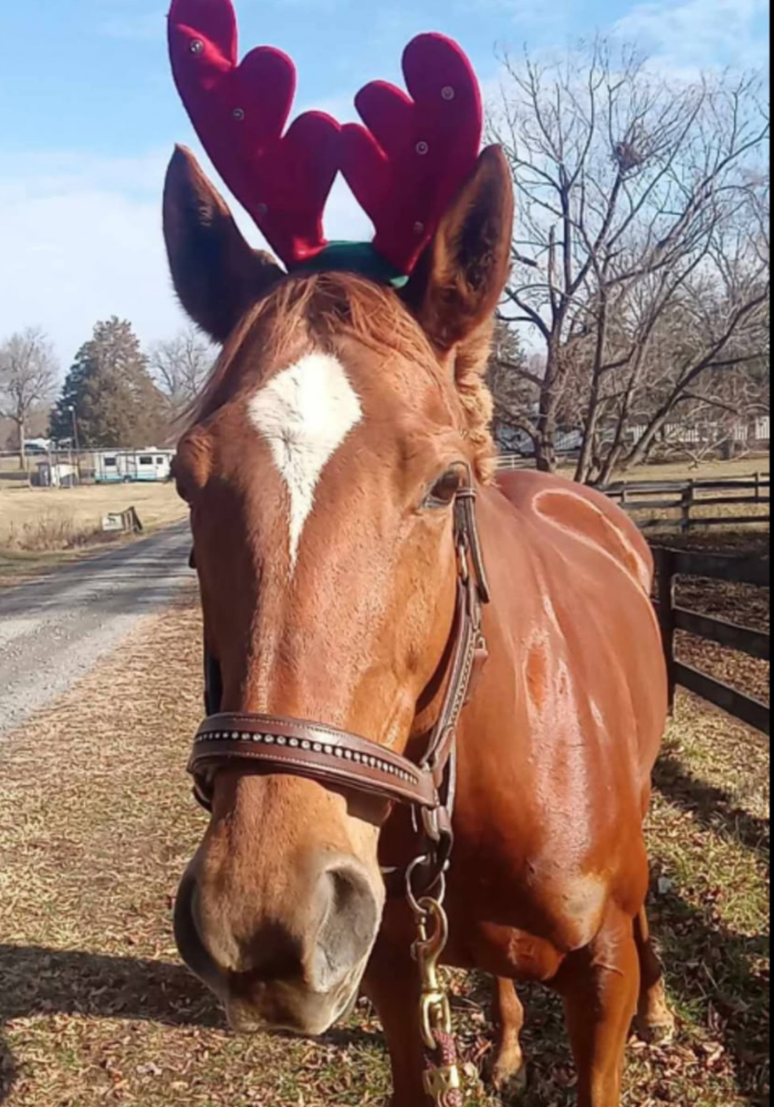 Untitled-design-2025-11-18T113949.626