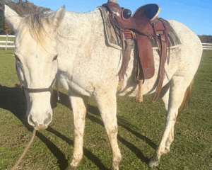 Untitled-design-2025-11-29T132024.758