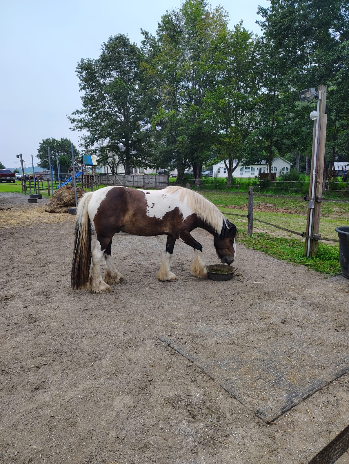 bdeb7ba4-0cba-4cd6-b294-7ae23ca98148